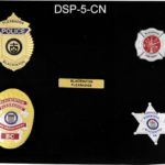 DSP5-CN.png