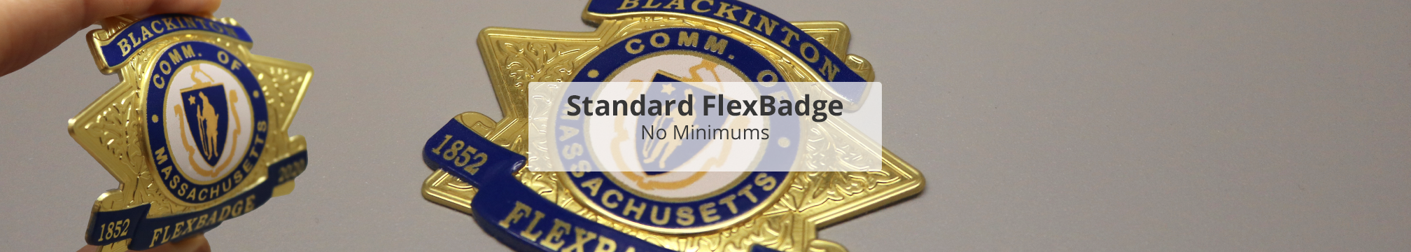 Standard 3d metallic emblem flexbadge